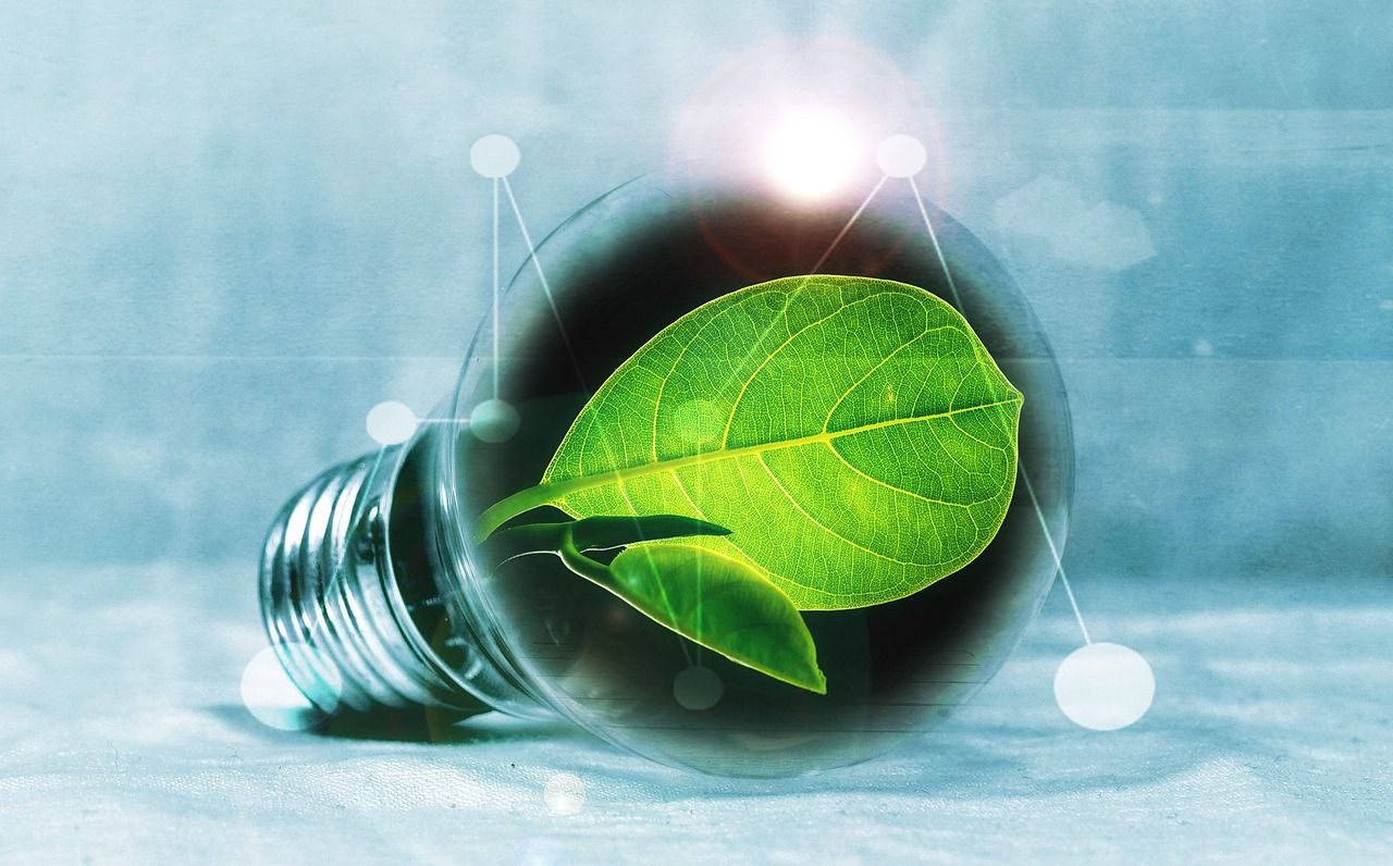 entdecken sie die neuesten entwicklungen und herausforderungen der energiewende. erfahren sie alles über nachhaltige lösungen, erneuerbare energien und innovative technologien für eine umweltfreundliche zukunft.