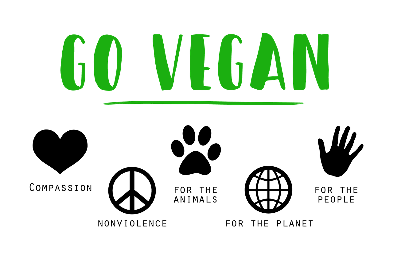 Warum wird vegane Ernährung immer beliebter?