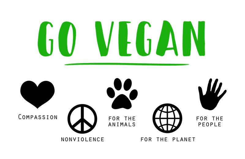 Warum wird vegane Ernährung immer beliebter?